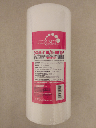 Гейзер ЭФМ-Г 10ВВ 10/5мкм для горячей воды