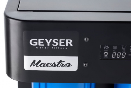 Гейзер Маэстро 2000