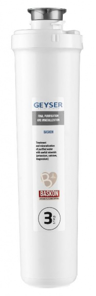 Гейзер Баскон Смарт