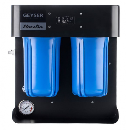 Гейзер Маэстро 2000