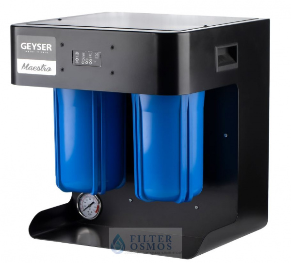 Гейзер Маэстро 2000