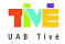 Tive