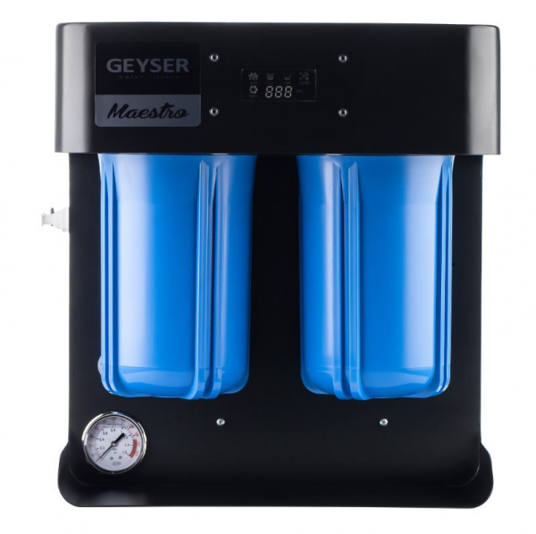 Гейзер Маэстро 4000