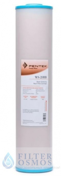 Pentek WS 20BB для умягчения воды