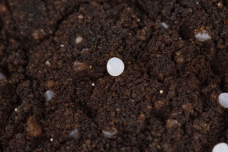 Гейзер Экотар В30 12,5л, ведро