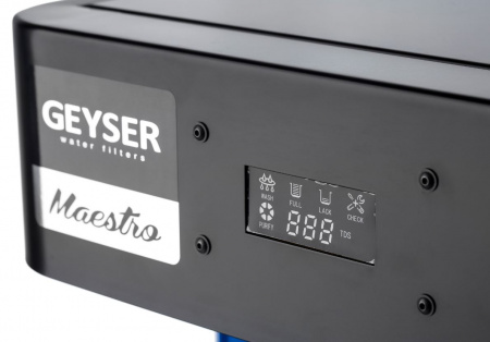 Гейзер Маэстро 2000